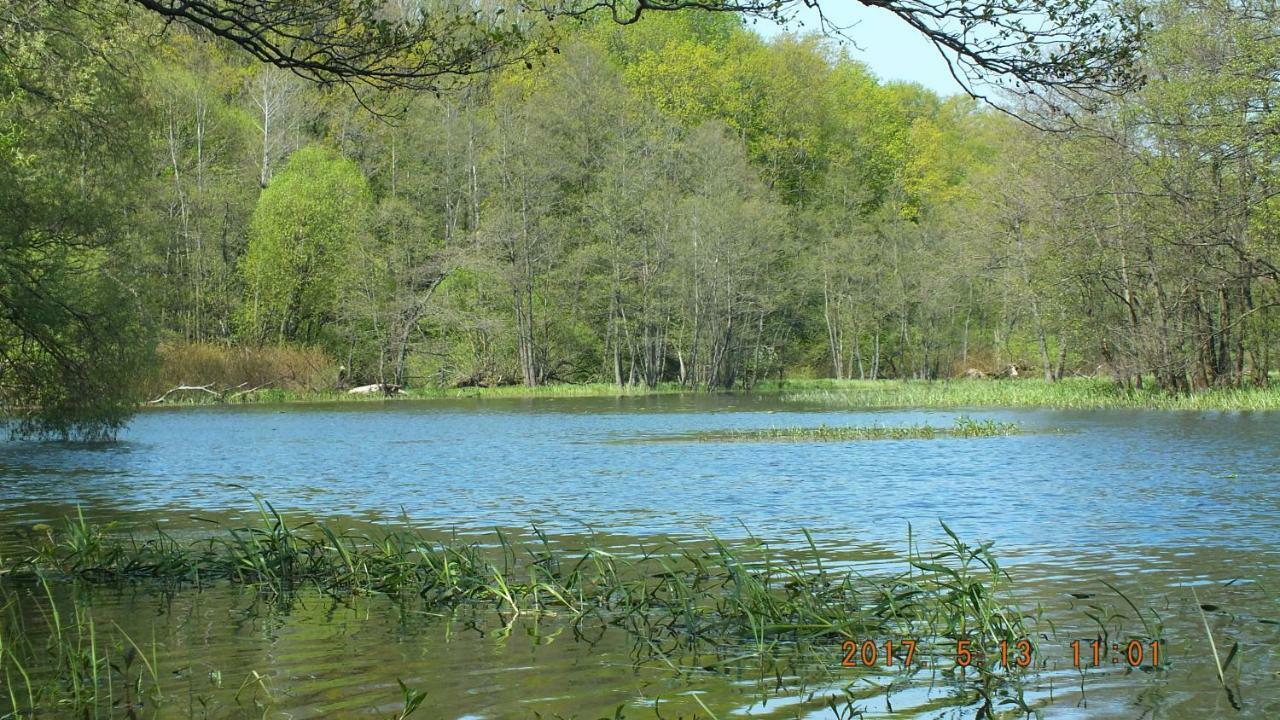 Kwatera Na Bagnach Osowiec  Exterior photo